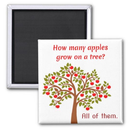 How Many Apples Grow On A Tree