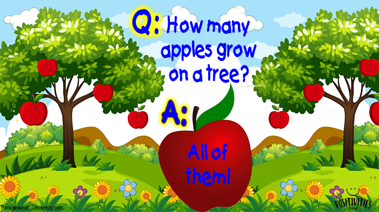 How Many Apples Grow On A Tree