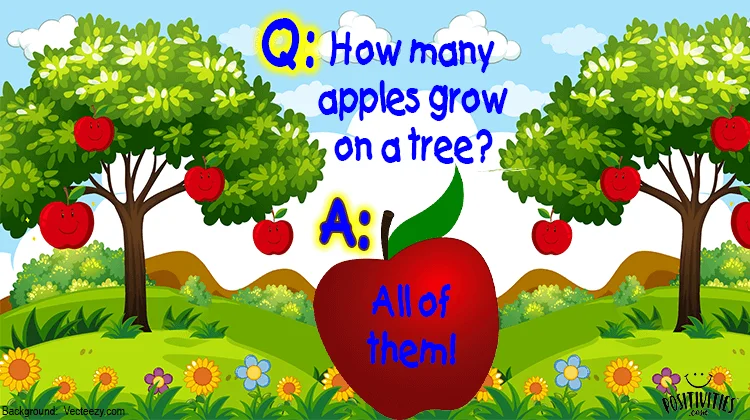 How Many Apples Grow On A Tree