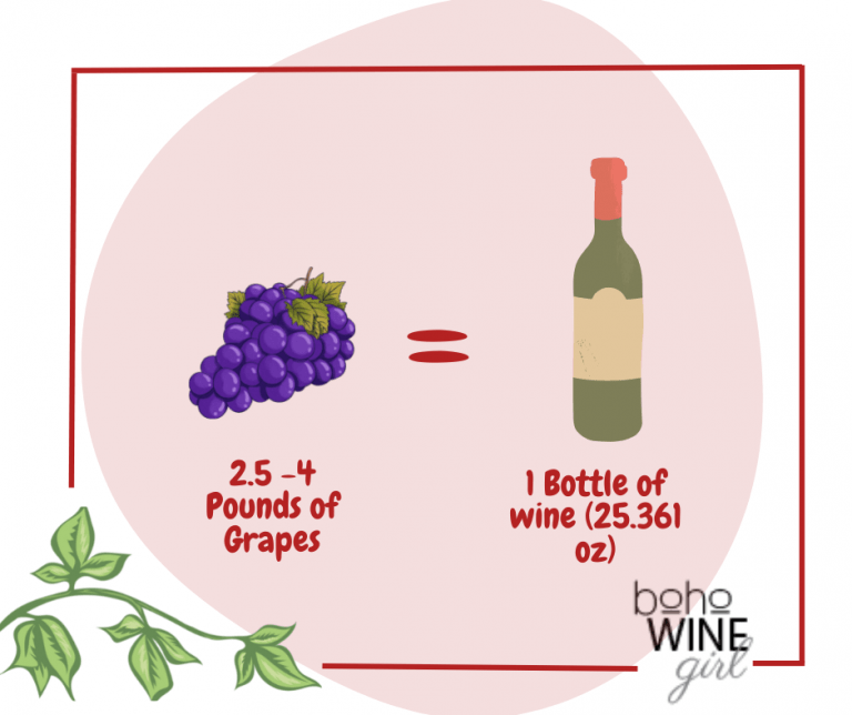 How Many Grapes Are In A Bottle Of Wine How Many Grapes Are In A Bottle Of Wine