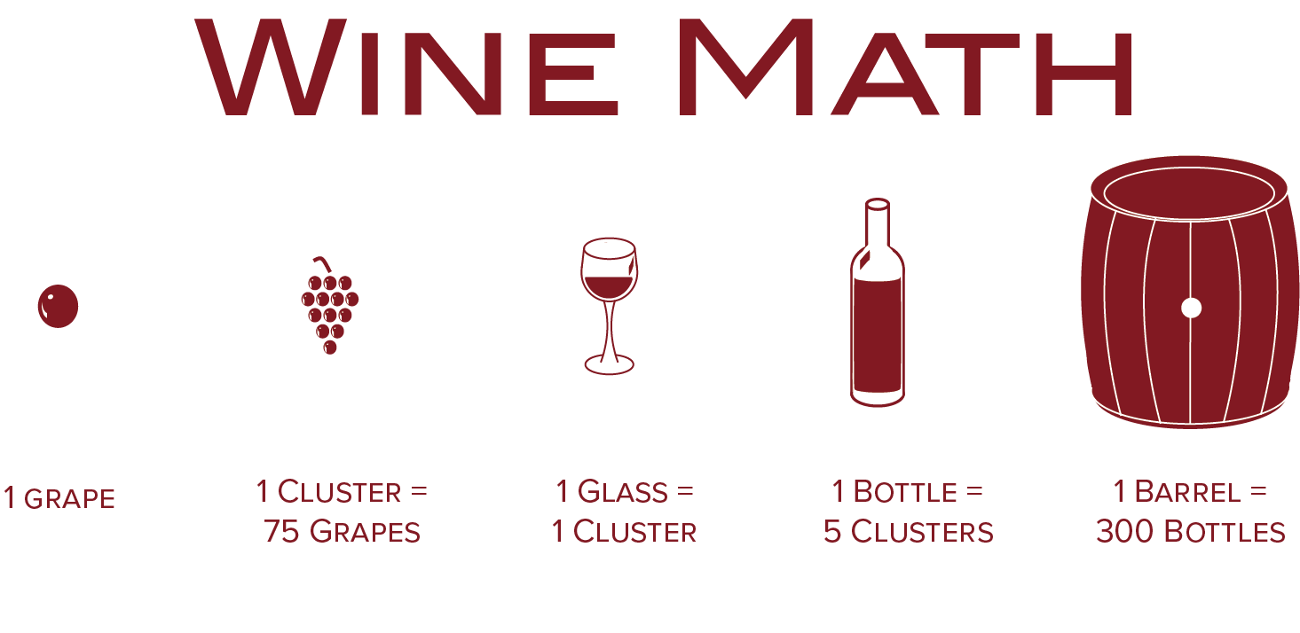 How Many Grapes For A Bottle Of Wine How Many Grapes For A Bottle Of Wine