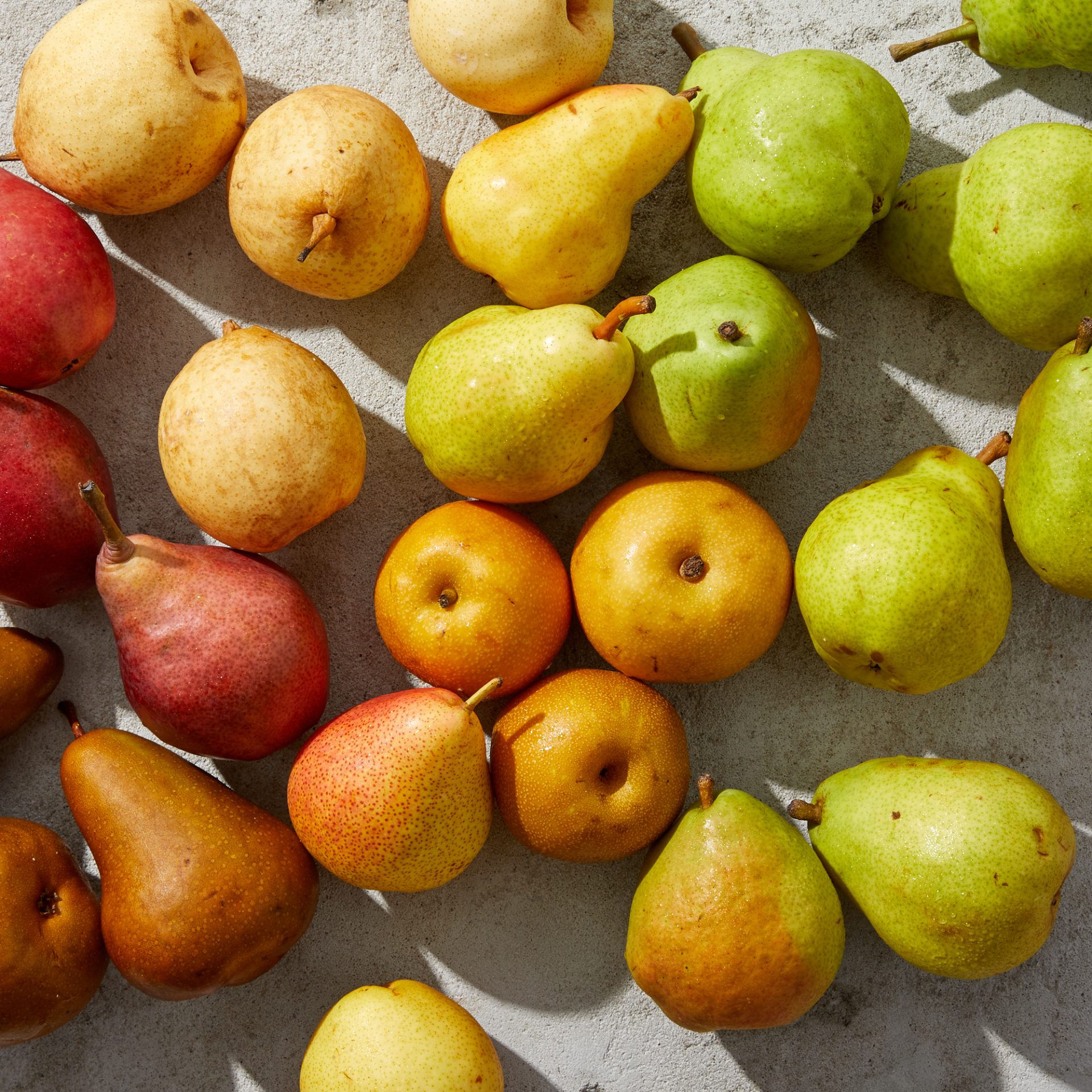 how-many-types-of-pears-are-there-greenthumbsguide