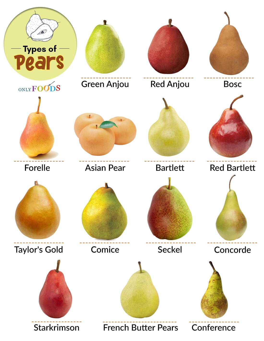 How Many Types Of Pears Are There How Many Types Of Pears Are There