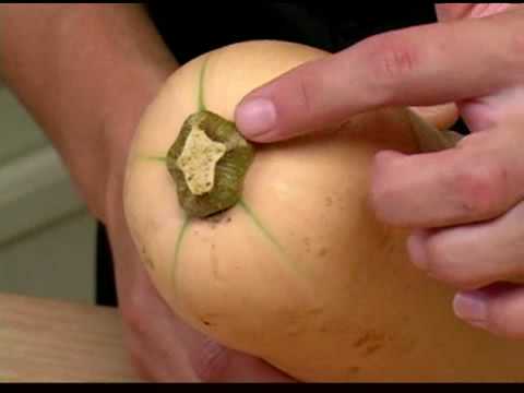 How to Choose the Perfect Butternut Squash