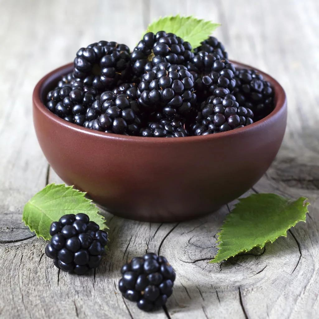 How To Deseed Blackberries
