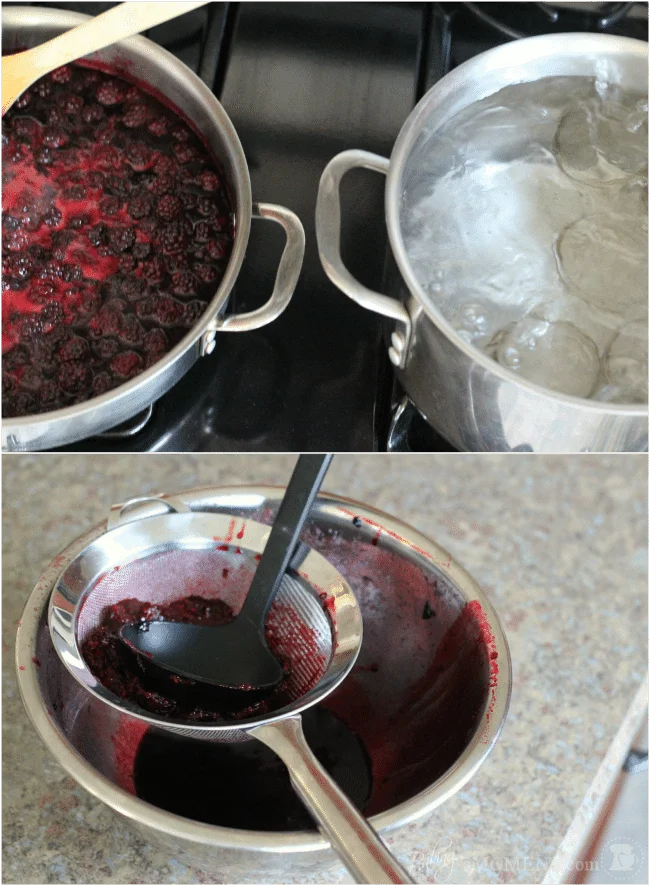 How To Deseed Blackberries