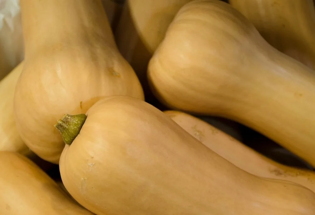 How to Determine if a Butternut Squash is Ripe