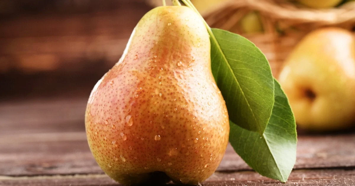 How to Determine When Pears Are Ripe