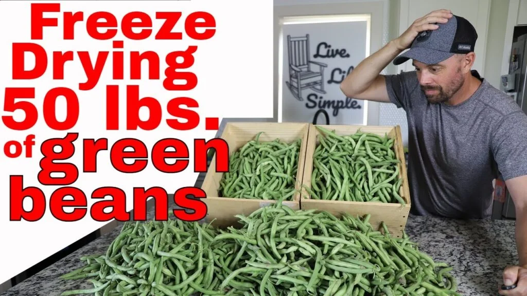 How to Freeze Dry Green Beans
