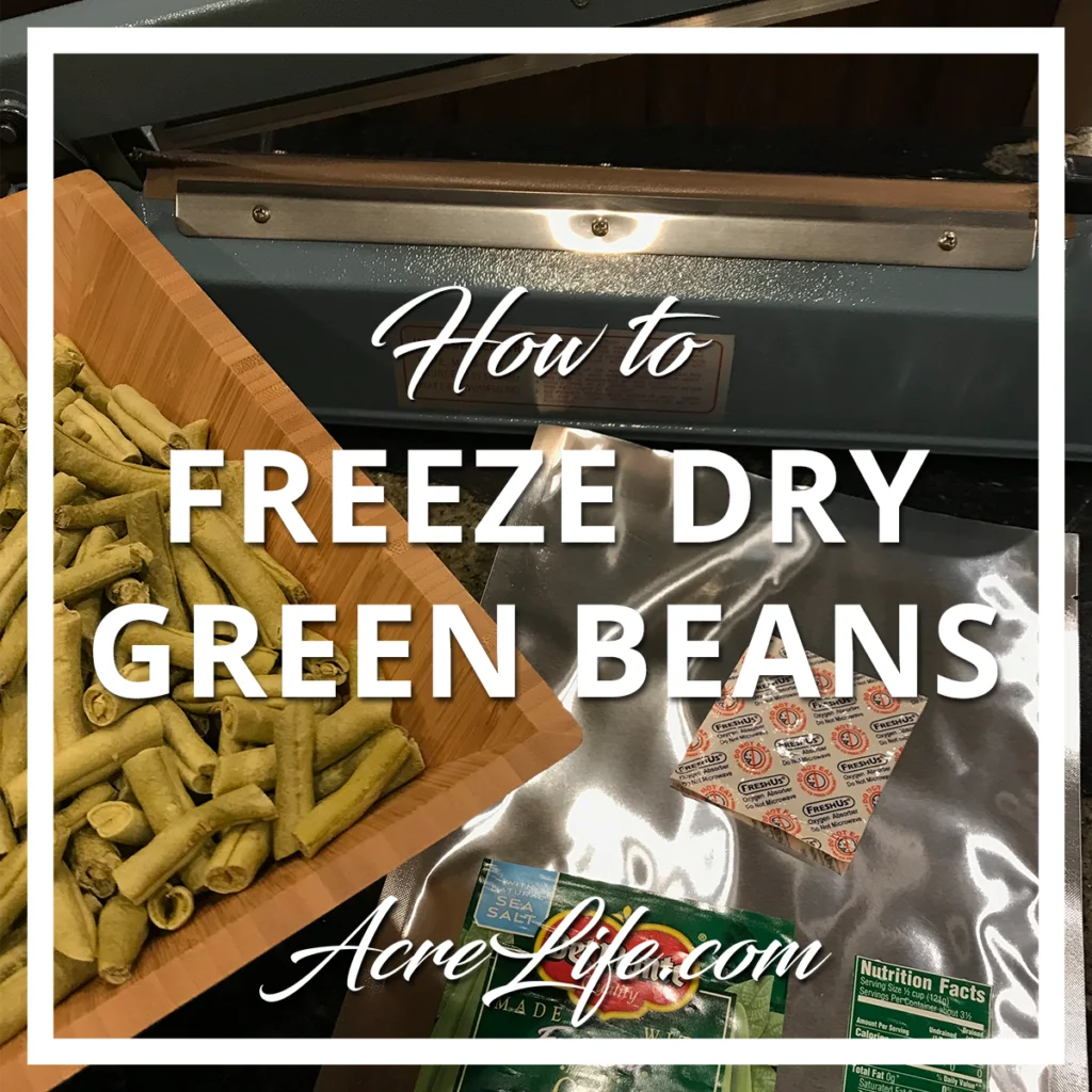 How to Freeze Dry Green Beans