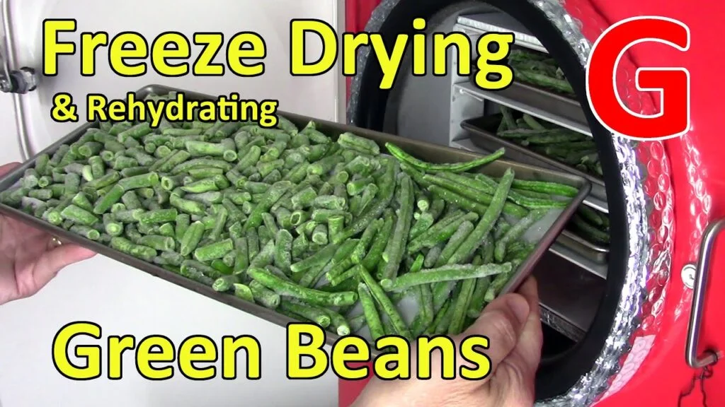 How to Freeze Dry Green Beans