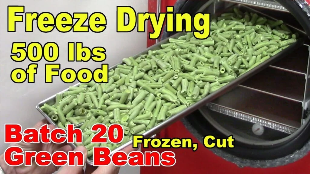 How to Freeze Dry Green Beans