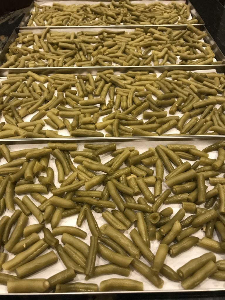 How to Freeze Dry Green Beans How to Freeze Dry Green Beans