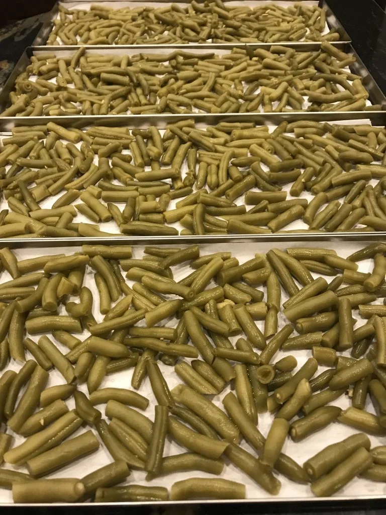 How to Freeze Dry Green Beans