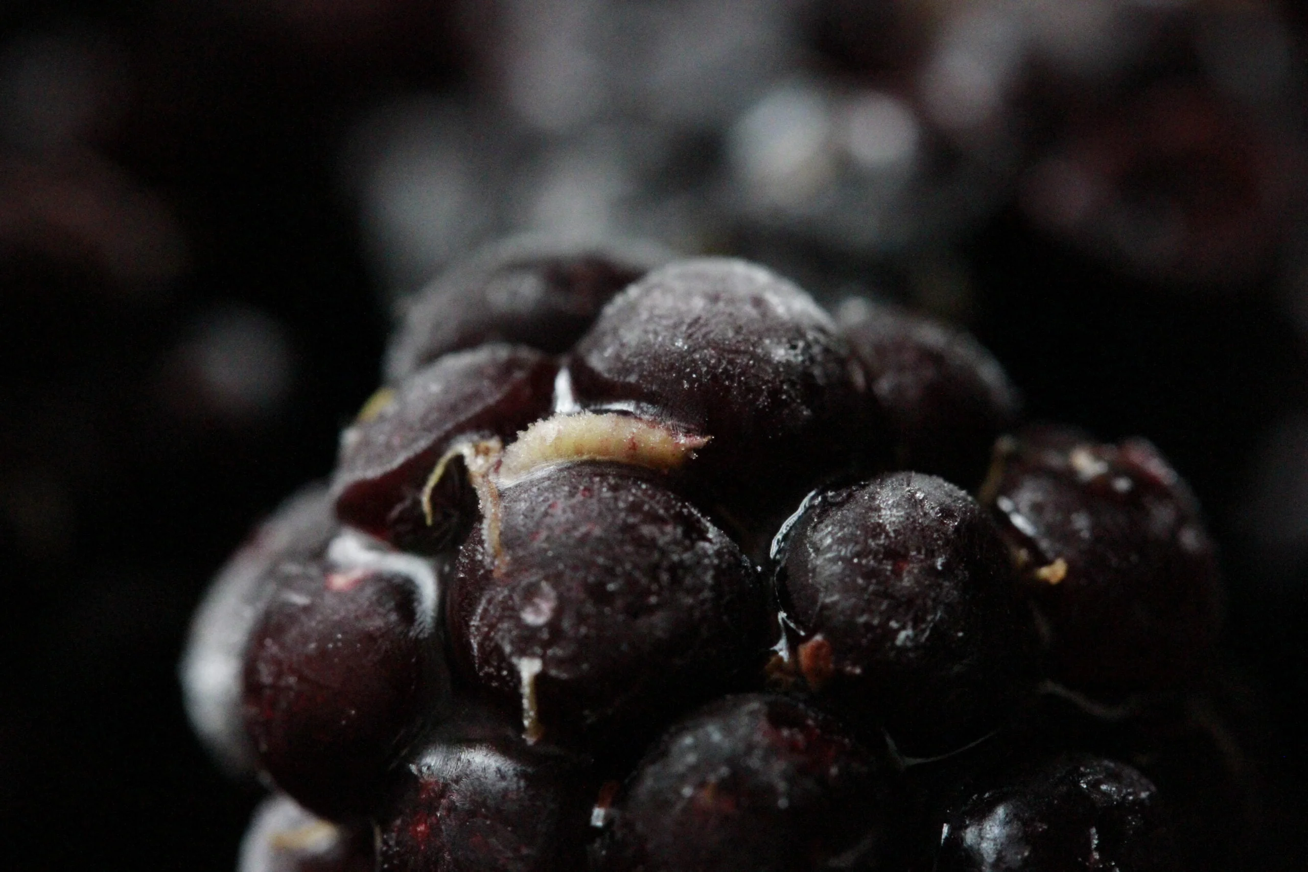 How To Get Bugs Out Of Blackberries