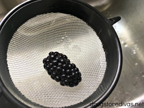 How To Get Seeds Out Of Blackberries How To Get Seeds Out Of Blackberries