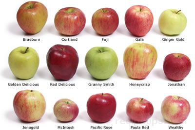 How To Identify Apples How To Identify Apples