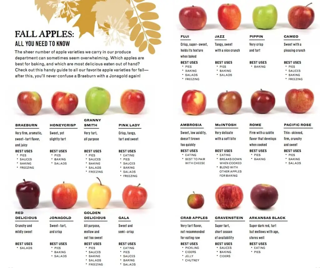 How To Identify Apples How To Identify Apples