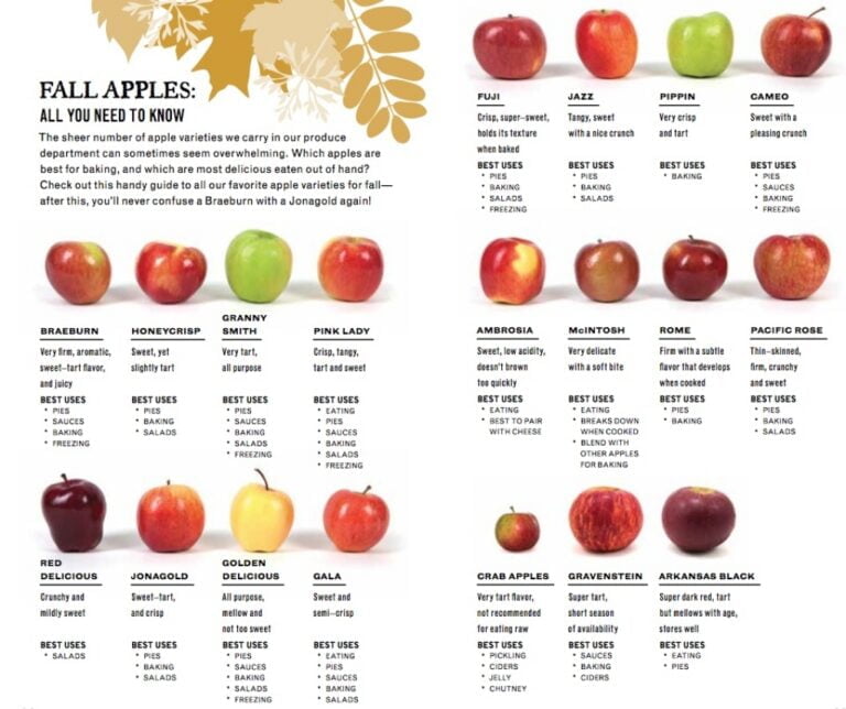 How To Identify Apples - GreenThumbsGuide