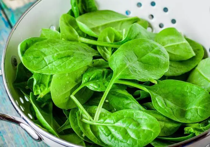 How To Identify Spoiled Spinach By Smell - Greenthumbsguide