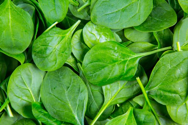 How to Identify Spoiled Spinach by Smell
