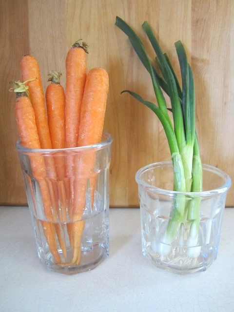 How to Keep Carrots Fresh Without Fridge