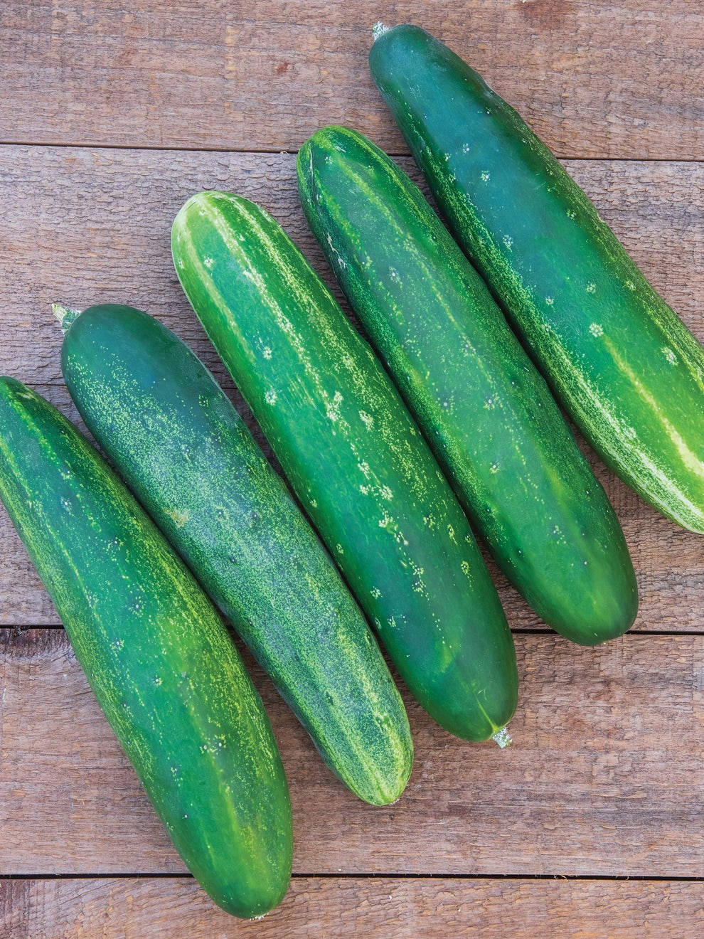 How to Know When to Pick Straight 8 Cucumbers How to Know When to Pick Straight 8 Cucumbers