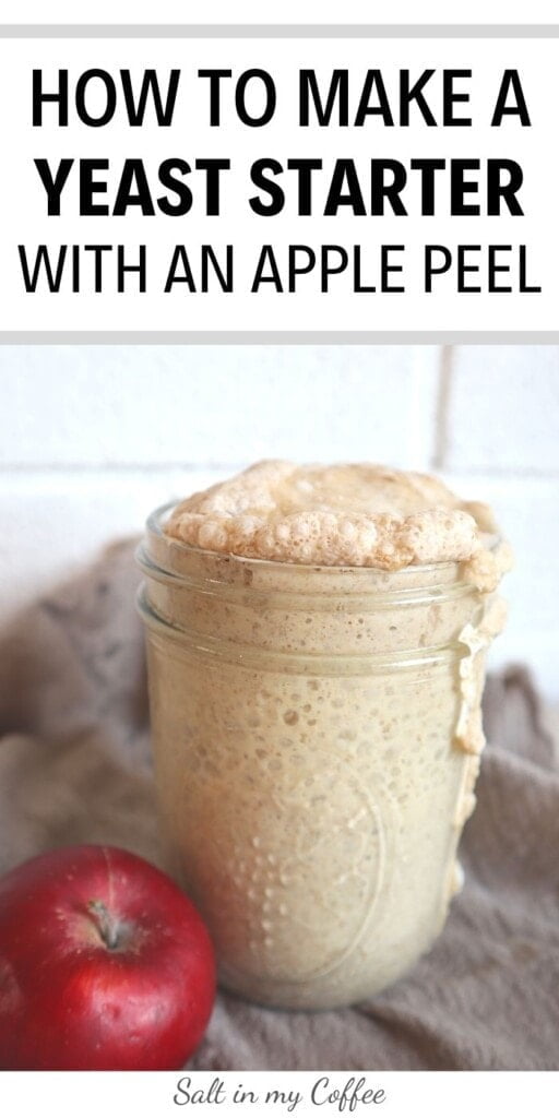 How To Make Yeast From Apples