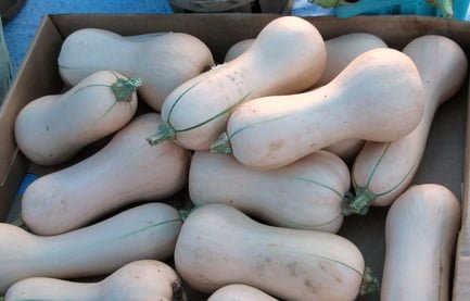 How to Ripen Butternut Squash Safely