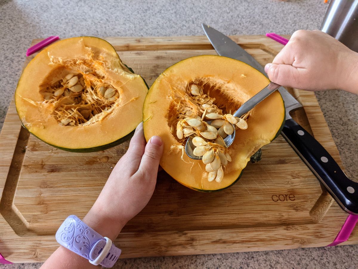 How to Save Acorn Squash Seeds How to Save Acorn Squash Seeds