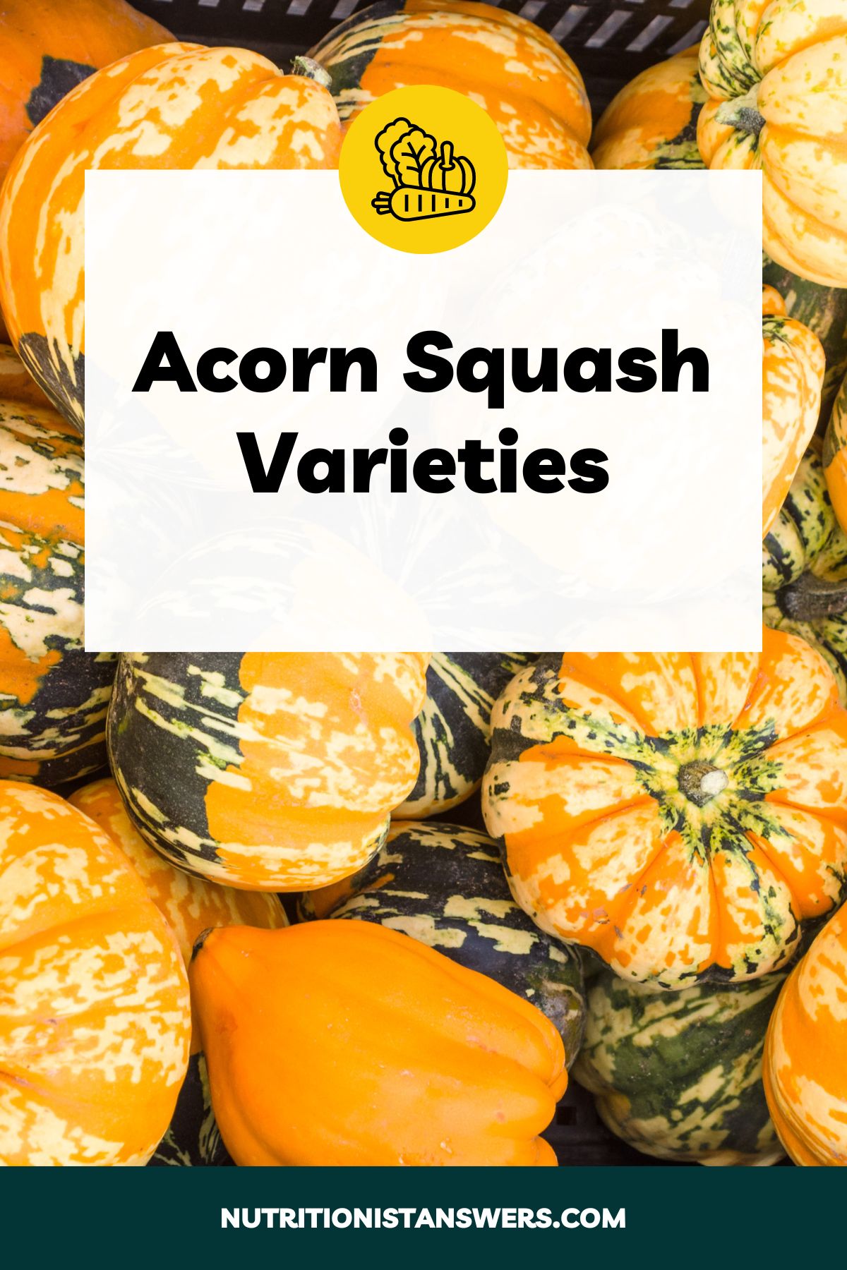 How to Store Acorn Squash for Longevity