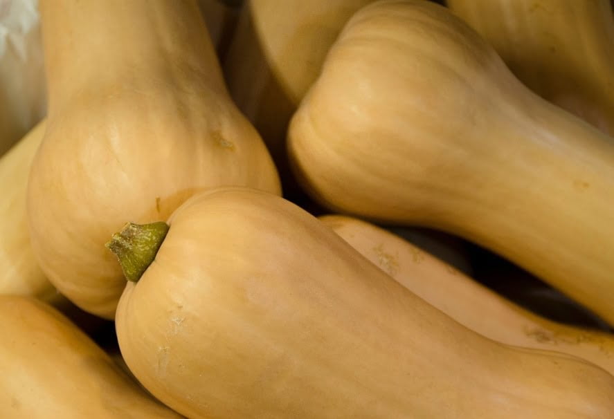 How to Tell if a Butternut Squash is Ripe How to Tell if a Butternut Squash is Ripe