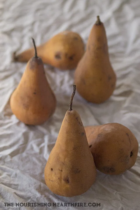 How To Tell If Bosc Pears Are Ripe How To Tell If Bosc Pears Are Ripe