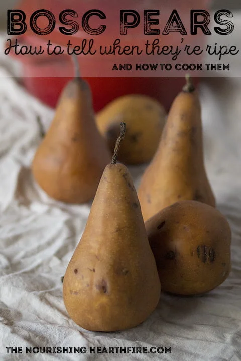 How To Tell If Bosc Pears Are Ripe How To Tell If Bosc Pears Are Ripe
