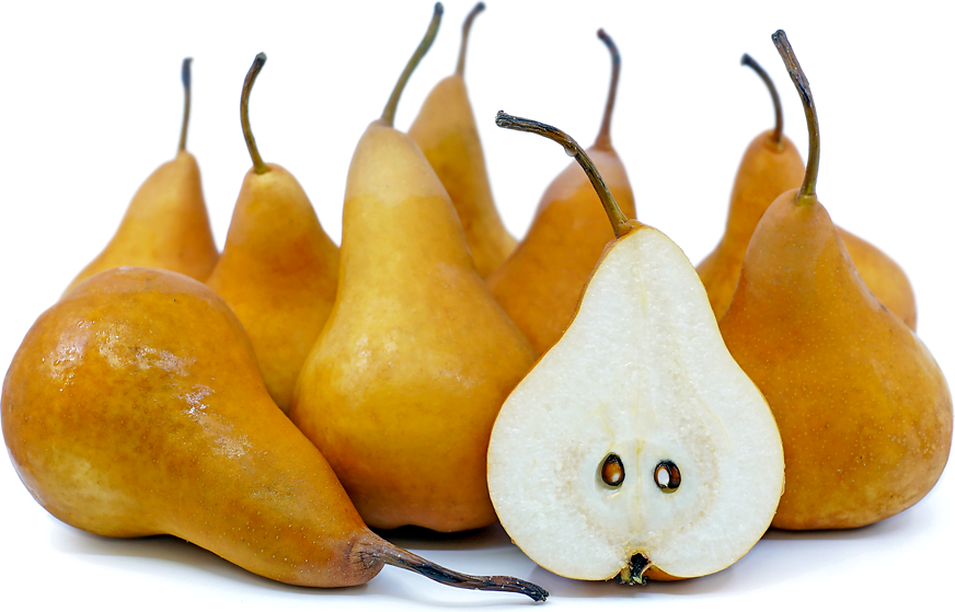 How To Tell If Bosc Pears Are Ripe