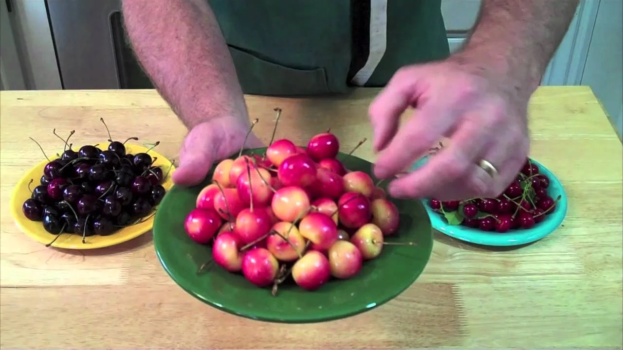 How To Tell If Cherries Are Ripe
