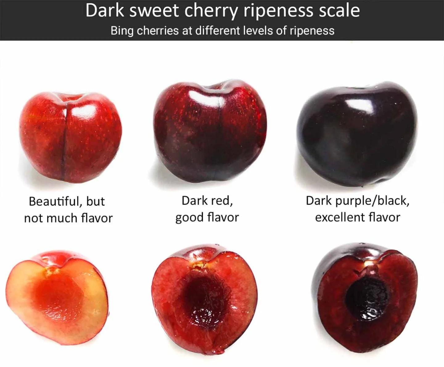 How To Tell If Cherries Are Ripe