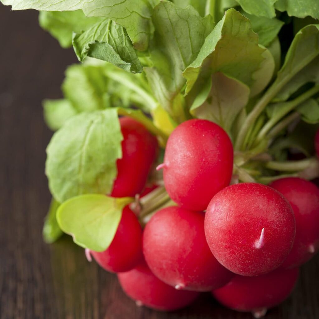 How to Tell If Radishes Have Gone Bad How to Tell If Radishes Have Gone Bad