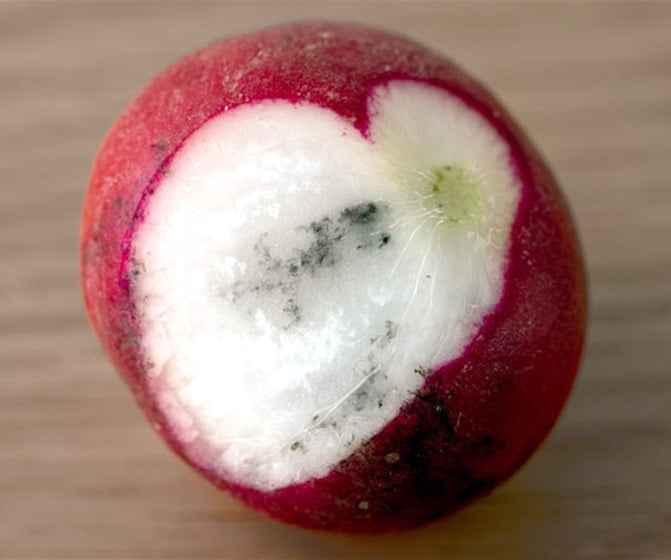 How to Tell If Radishes Have Gone Bad How to Tell If Radishes Have Gone Bad