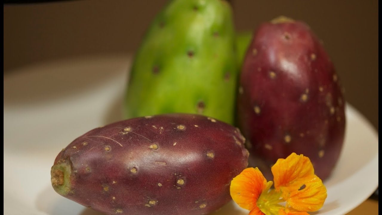 How to Tell When Prickly Pears Are Ripe How to Tell When Prickly Pears Are Ripe