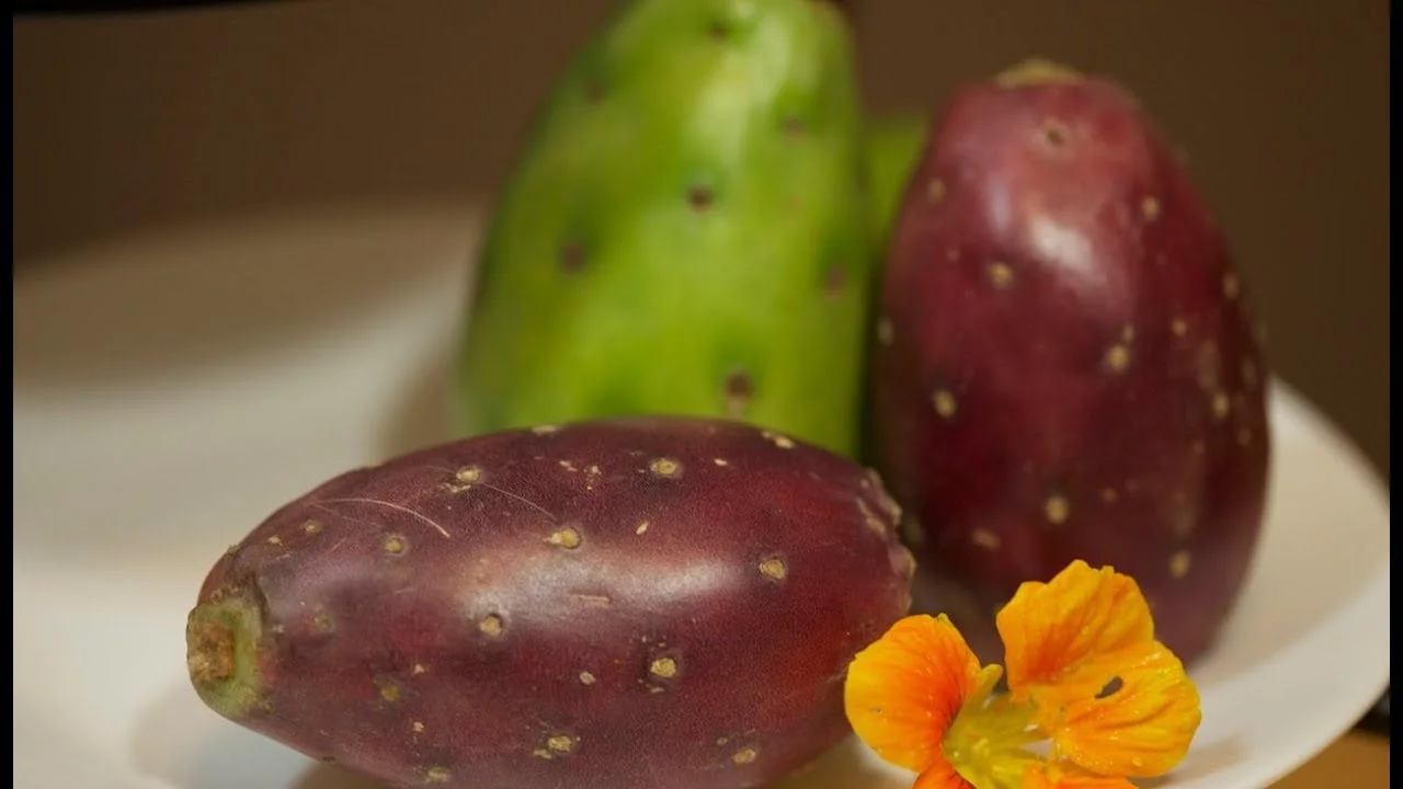 How to Tell When Prickly Pears Are Ripe