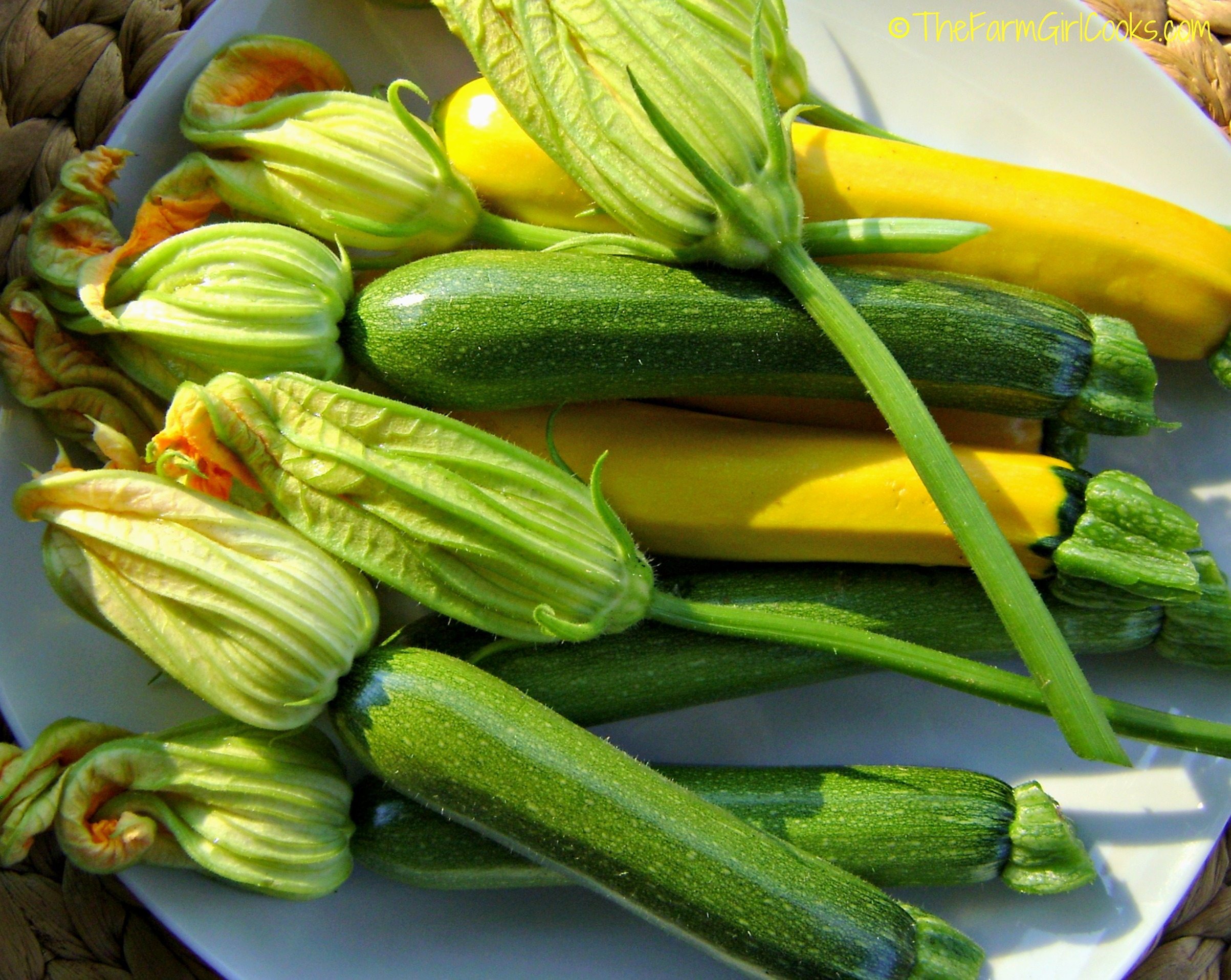 How to Use Overgrown Yellow Squash
