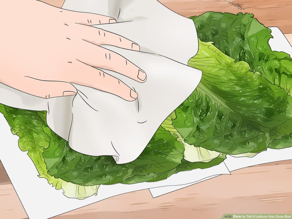 Identifying the Smell of Spoiled Lettuce