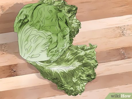 Identifying the Smell of Spoiled Lettuce