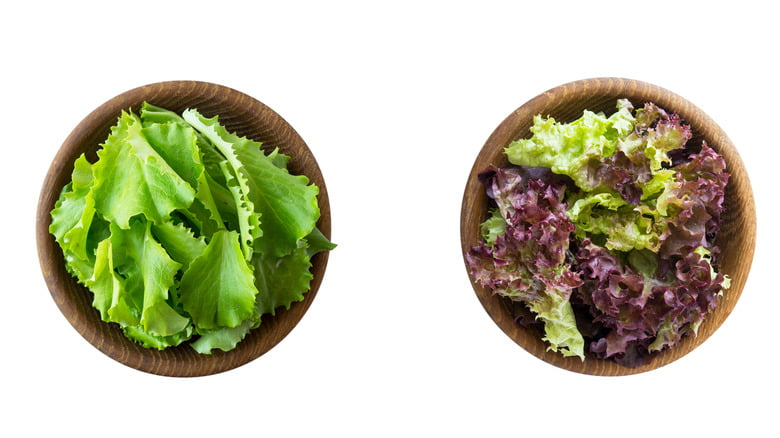 Identifying the Smell of Spoiled Lettuce