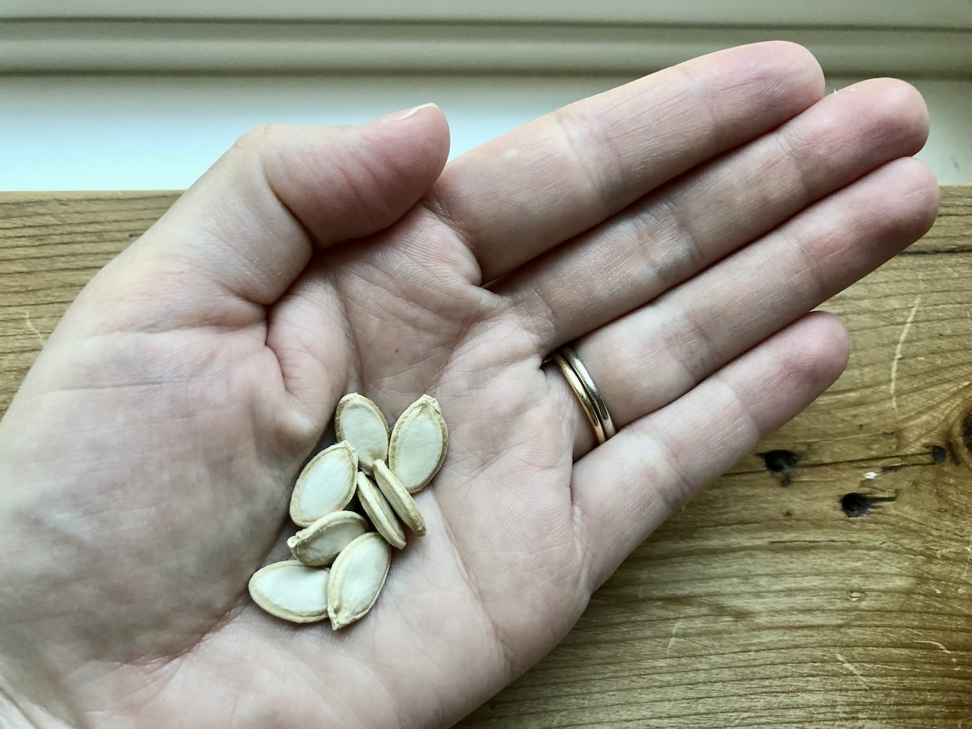 Saving Zucchini Seeds: A Step-by-Step Guide