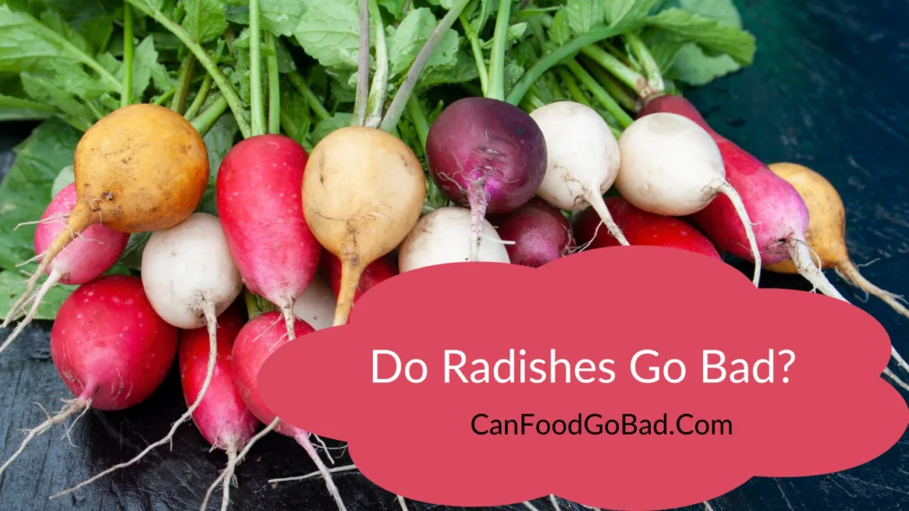 Signs That Your Radishes Have Gone Bad
