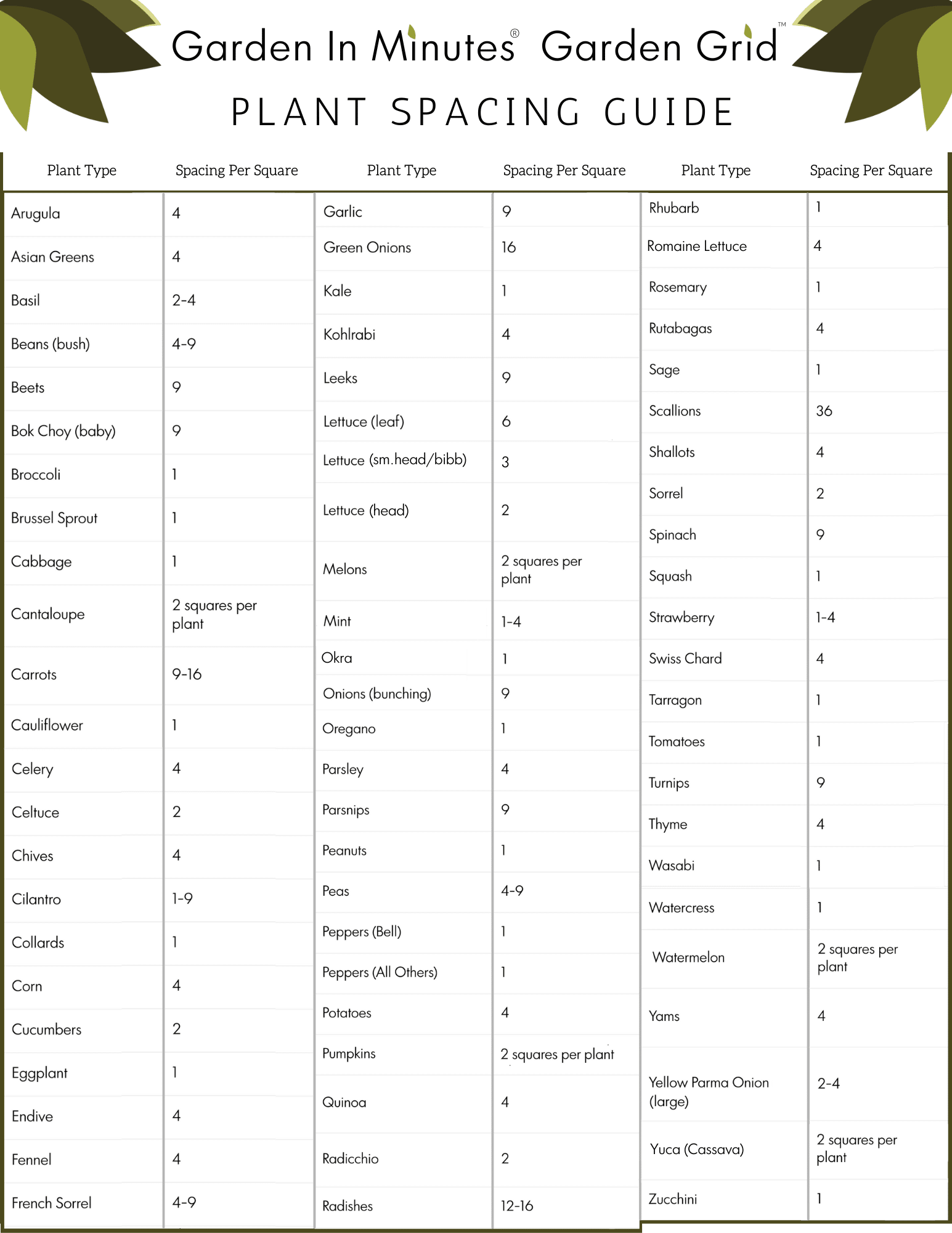 Spacing Guide for Planting Zucchini Spacing Guide for Planting Zucchini