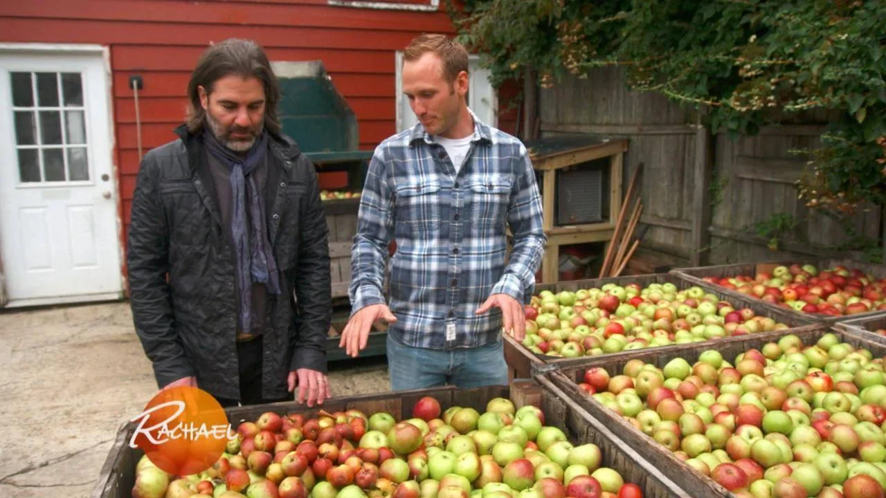 The Apple-to-Cider Ratio: How Many Apples Make a Gallon?