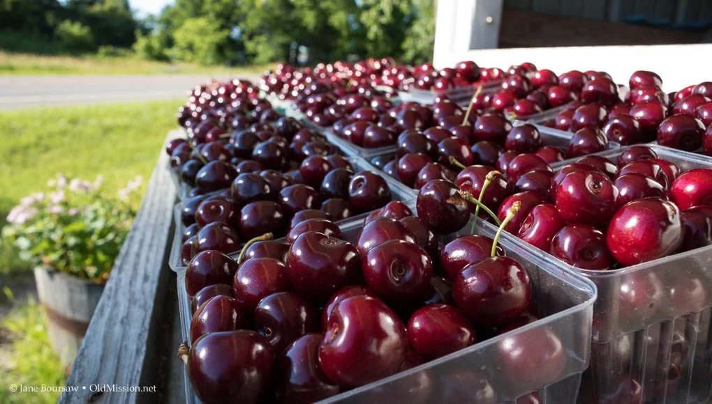 The Best Time to Enjoy Fresh Cherries in Michigan